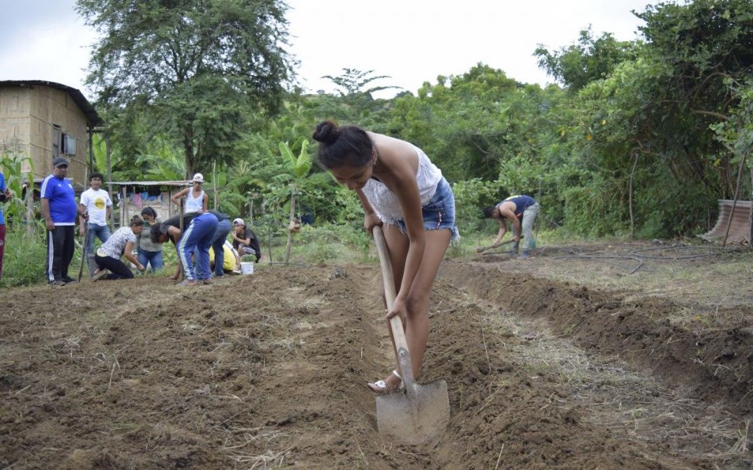 Estrategias feministas para una vida digna y en común