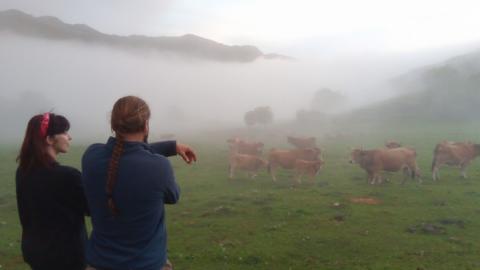 La microfinanciación colectiva se fija en el campo