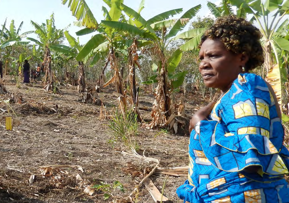 «Emergencia climática, producción de alimentos y Comercio Justo»